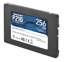 p210s256g25_1